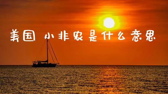 美国 小非农是什么意思_https://wap.jnlaobingbanjia.com_基金分析_第1张