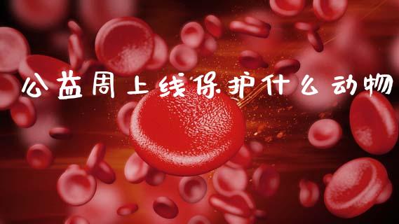 公益周上线保护什么动物_股市行情_第1张_财经资讯_股市行情_财务管理_金融理财 公益周上线保护什么动物_https://wap.jnlaobingbanjia.com_股市行情_第1张