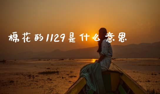 棉花的1129是什么意思_https://wap.jnlaobingbanjia.com_金融理财_第1张