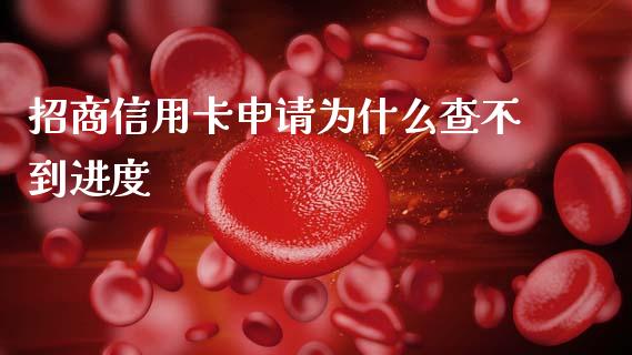 招商信用卡申请为什么查不到进度_https://wap.jnlaobingbanjia.com_股市行情_第1张
