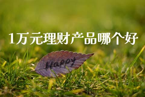 1万元理财产品哪个好_https://wap.jnlaobingbanjia.com_财务管理_第1张