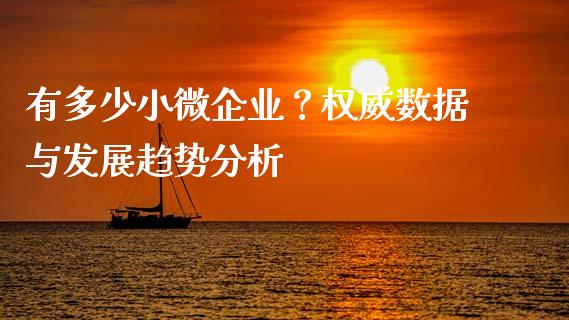 有多少小微企业？权威数据与发展趋势分析_https://wap.jnlaobingbanjia.com_财务管理_第1张