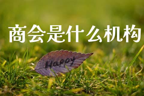商会是什么机构_https://wap.jnlaobingbanjia.com_证券公告_第1张