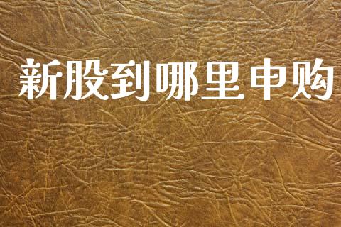 新股到哪里申购_https://wap.jnlaobingbanjia.com_证券公告_第1张