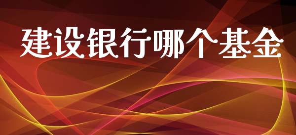 建设银行哪个基金_https://wap.jnlaobingbanjia.com_金融理财_第1张
