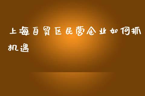 上海自贸区民营企业如何抓机遇_https://wap.jnlaobingbanjia.com_证券公告_第1张