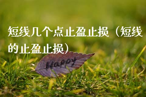 短线几个点止盈止损（短线的止盈止损）_https://wap.jnlaobingbanjia.com_金融理财_第1张
