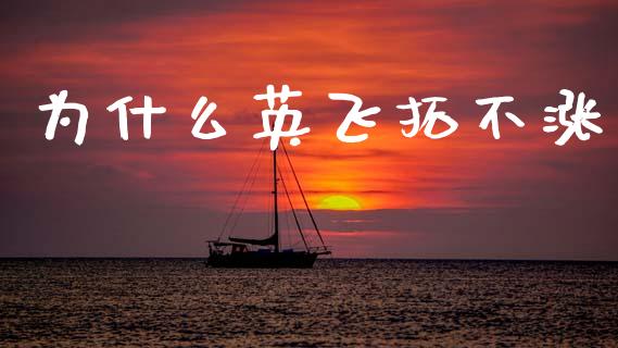 为什么英飞拓不涨_https://wap.jnlaobingbanjia.com_基金分析_第1张