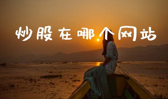 炒股在哪个网站_https://wap.jnlaobingbanjia.com_股市行情_第1张