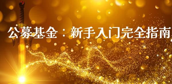 公募基金：新手入门完全指南_https://wap.jnlaobingbanjia.com_财经资讯_第1张