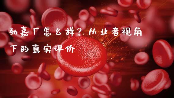 劲嘉厂怎么样？从业者视角下的真实评价_https://wap.jnlaobingbanjia.com_证券公告_第1张