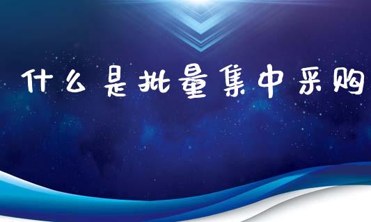 什么是批量集中采购_https://wap.jnlaobingbanjia.com_证券公告_第1张