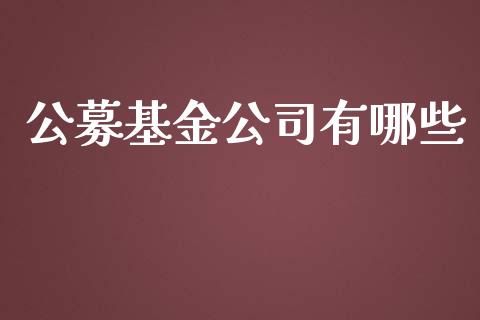公募基金公司有哪些_https://wap.jnlaobingbanjia.com_基金分析_第1张