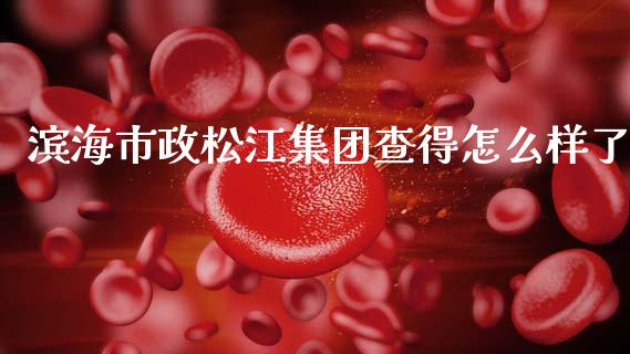 滨海市政松江集团查得怎么样了_https://wap.jnlaobingbanjia.com_财务管理_第1张