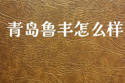 青岛鲁丰怎么样_https://wap.jnlaobingbanjia.com_股市行情_第1张