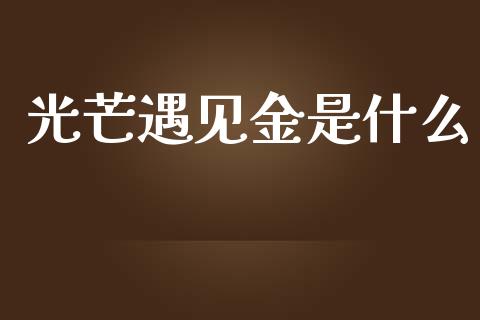 光芒遇见金是什么_https://wap.jnlaobingbanjia.com_证券公告_第1张