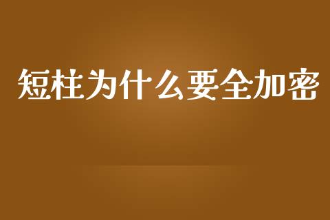 短柱为什么要全加密_https://wap.jnlaobingbanjia.com_金融理财_第1张