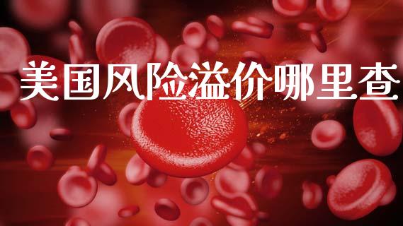 美国风险溢价哪里查_https://wap.jnlaobingbanjia.com_股市行情_第1张