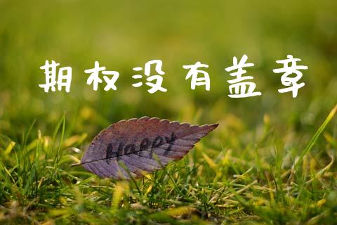 期权没有盖章_https://wap.jnlaobingbanjia.com_金融理财_第1张