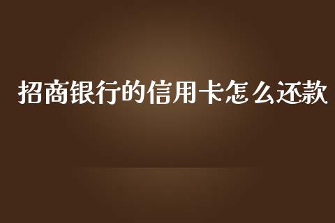 招商银行的信用卡怎么还款_https://wap.jnlaobingbanjia.com_基金分析_第1张
