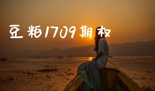 豆粕1709期权_https://wap.jnlaobingbanjia.com_财务管理_第1张