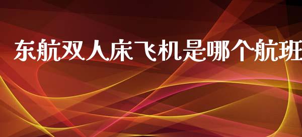 东航双人床飞机是哪个航班_https://wap.jnlaobingbanjia.com_基金分析_第1张