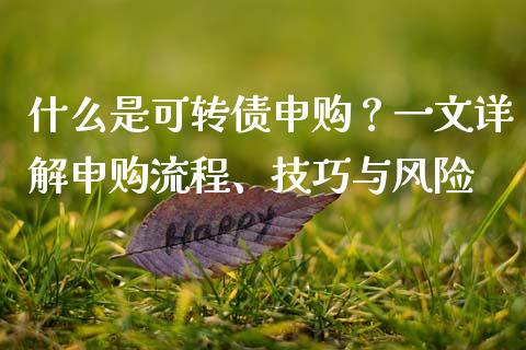 什么是可转债申购？一文详解申购流程、技巧与风险_https://wap.jnlaobingbanjia.com_财务管理_第1张