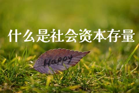 什么是社会资本存量_https://wap.jnlaobingbanjia.com_证券公告_第1张