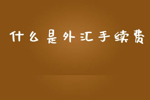 什么是外汇手续费_https://wap.jnlaobingbanjia.com_基金分析_第1张