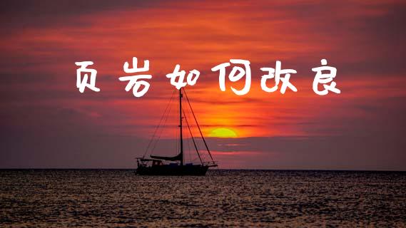 页岩如何改良_https://wap.jnlaobingbanjia.com_股市行情_第1张