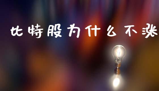 比特股为什么不涨_https://wap.jnlaobingbanjia.com_证券公告_第1张