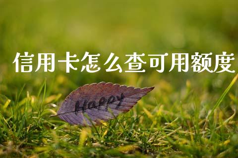 信用卡怎么查可用额度_https://wap.jnlaobingbanjia.com_股市行情_第1张