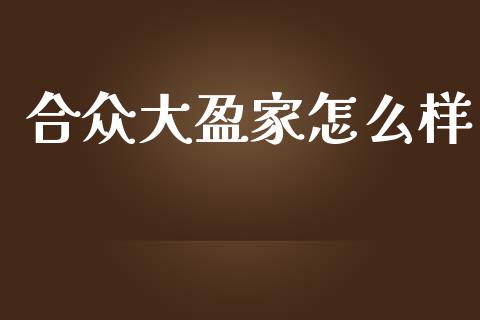 合众大盈家怎么样_https://wap.jnlaobingbanjia.com_财务管理_第1张