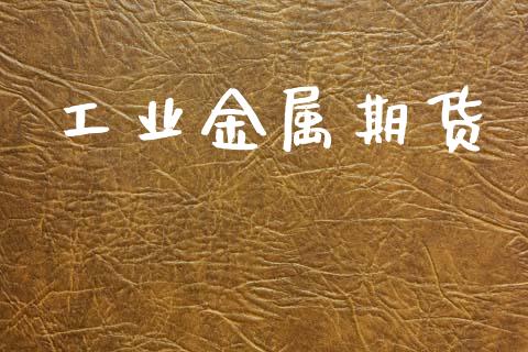 工业金属期货_财务管理_第1张_财经资讯_股市行情_财务管理_金融理财 工业金属期货_https://wap.jnlaobingbanjia.com_财务管理_第1张
