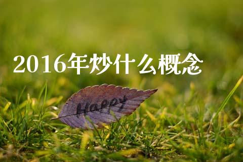 2016年炒什么概念_https://wap.jnlaobingbanjia.com_基金分析_第1张