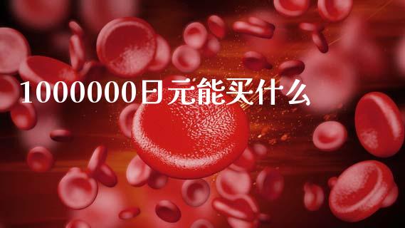 1000000日元能买什么_https://wap.jnlaobingbanjia.com_基金分析_第1张