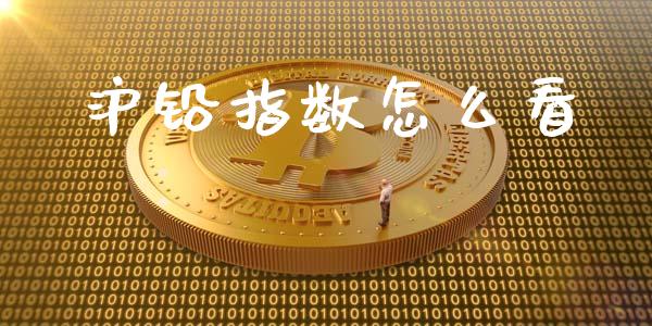 沪铅指数怎么看_金融理财_第1张_财经资讯_股市行情_财务管理_金融理财 沪铅指数怎么看_https://wap.jnlaobingbanjia.com_金融理财_第1张