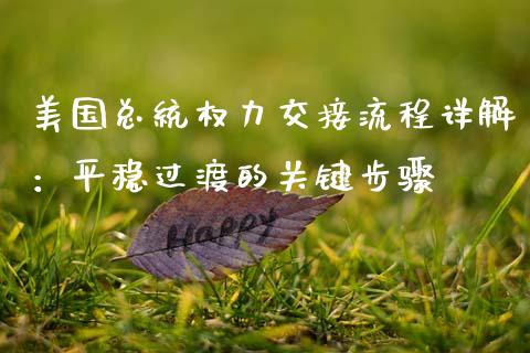 美国总统权力交接流程详解：平稳过渡的关键步骤_https://wap.jnlaobingbanjia.com_股市行情_第1张