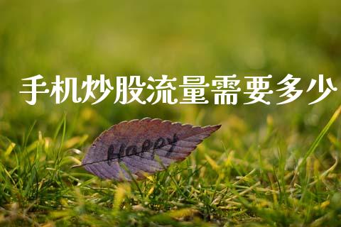 手机炒股流量需要多少_https://wap.jnlaobingbanjia.com_财经资讯_第1张