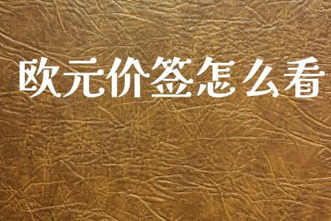 欧元价签怎么看_https://wap.jnlaobingbanjia.com_证券公告_第1张