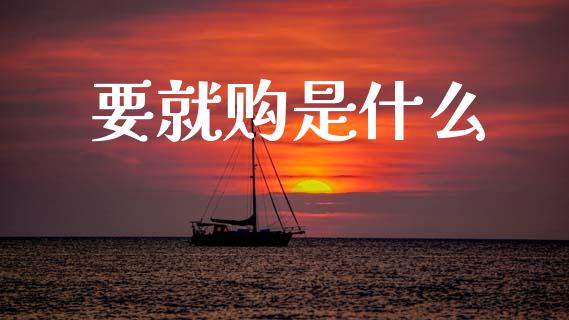 要就购是什么_https://wap.jnlaobingbanjia.com_股市行情_第1张
