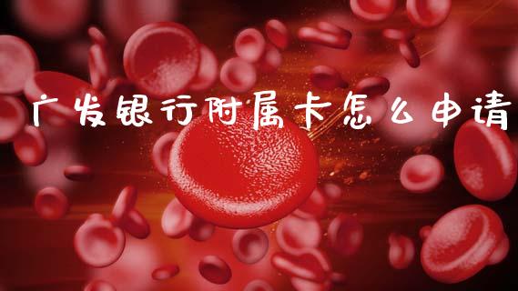 广发银行附属卡怎么申请_https://wap.jnlaobingbanjia.com_财务管理_第1张