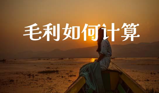 毛利如何计算_https://wap.jnlaobingbanjia.com_财务管理_第1张