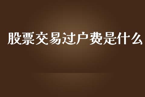 股票交易过户费是什么_https://wap.jnlaobingbanjia.com_财务管理_第1张