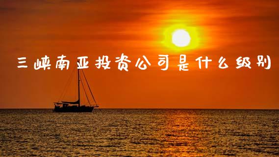 三峡南亚投资公司是什么级别_https://wap.jnlaobingbanjia.com_财务管理_第1张