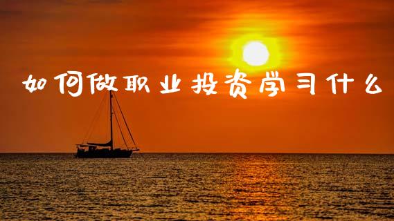 如何做职业投资学习什么_https://wap.jnlaobingbanjia.com_财务管理_第1张