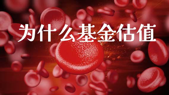 为什么基金估值_https://wap.jnlaobingbanjia.com_金融理财_第1张