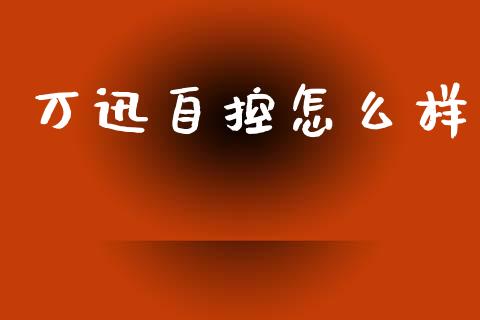 万迅自控怎么样_https://wap.jnlaobingbanjia.com_证券公告_第1张