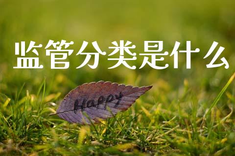 监管分类是什么_https://wap.jnlaobingbanjia.com_财务管理_第1张
