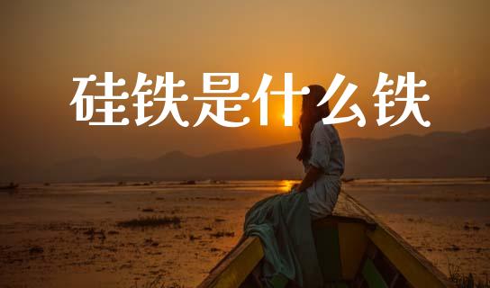 硅铁是什么铁_证券公告_第1张_财经资讯_股市行情_财务管理_金融理财 硅铁是什么铁_https://wap.jnlaobingbanjia.com_证券公告_第1张